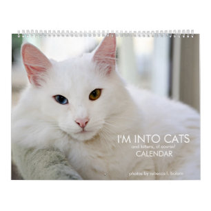 I'm Into Cats and Kittens of Course 2020 Calendar