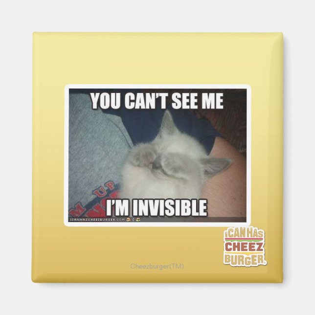 I'm Invisible Magnet (Front)