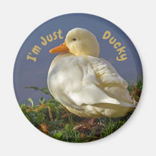 I'm Just Ducky Magnet