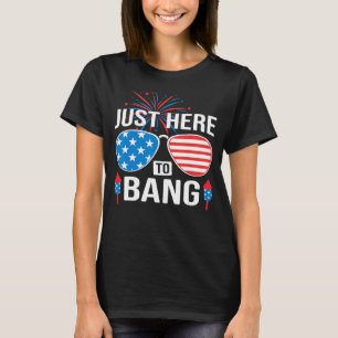 Im Just Here To Bang 4th July American Flag sungl T-Shirt