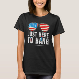 Im Just Here To Bang 4th Of July Sunglasses Us Fla T-Shirt