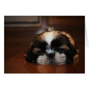 I'm Just Resting My Eyes-Blank Card