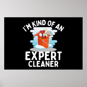 I'm Kind of An Expert Housekeeping Novelty Poster