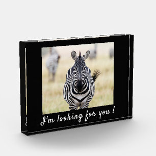 I'm looking for you Zebra photo with text Block