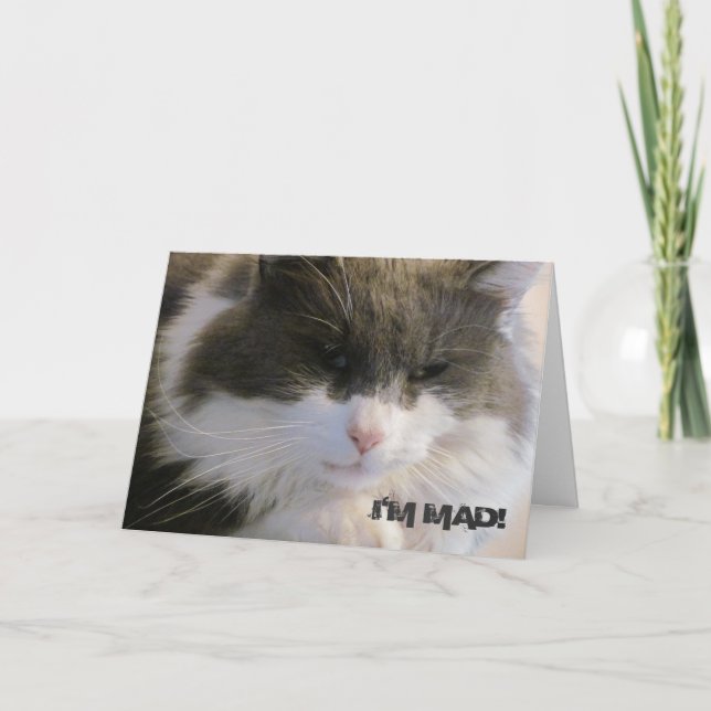 I'm Mad! That I Missed Your Birthday Cat Card (Front)