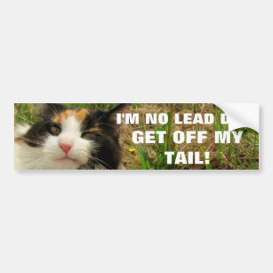 I'm No Lead Dog Cat Meme Bumper Sticker