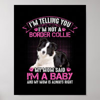 I'm Not a Border Collie My Mom Said I'm A Baby