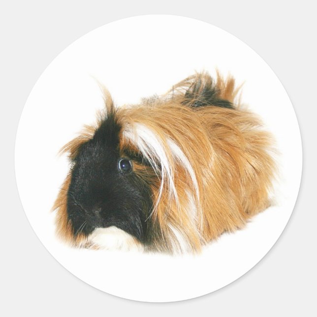 I'm not a tribble classic round sticker (Front)