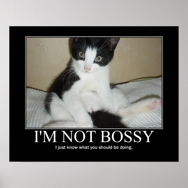 I'm Not Bossy Cat Artwork Poster (Front)