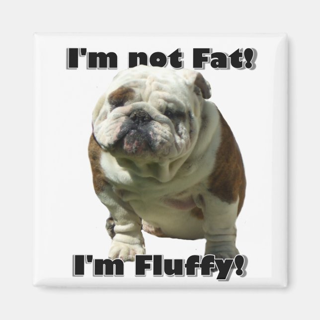 I'm not fat Bulldog magnet (Front)