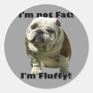 I'm not fat Bulldog stickers