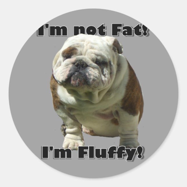 I'm not fat Bulldog stickers (Front)