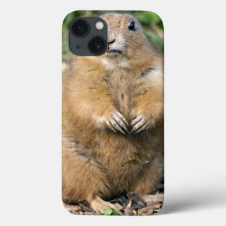 I'm not Fat, I'm Cuddly iPad Case