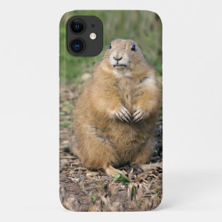I'm Not Fat, I'm Cuddly iPhone 11 Case