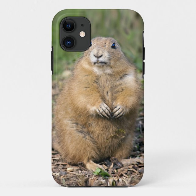 I'm not Fat, I'm Cuddly iPhone 5 Case-Mate Case (Back)