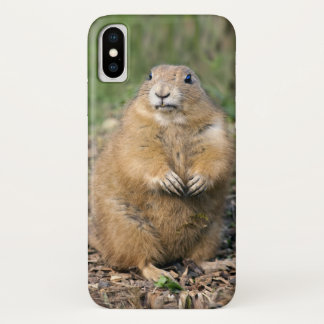 I'm not Fat, I'm Cuddly iPhone X Case