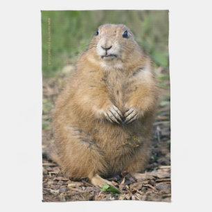 I'm not Fat, I'm Cuddly Kitchen Towel