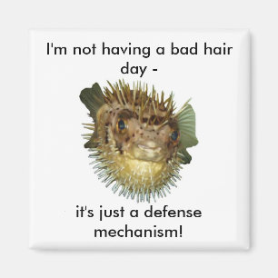 I'm not having a bad hair day - magnet