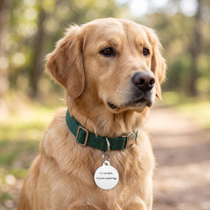 I'm Not Lost I'm Just Exploring Pet Tag