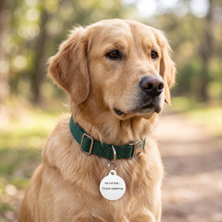 I'm Not Lost I'm Just Exploring Pet Tag