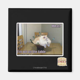 I'm not on the table magnet