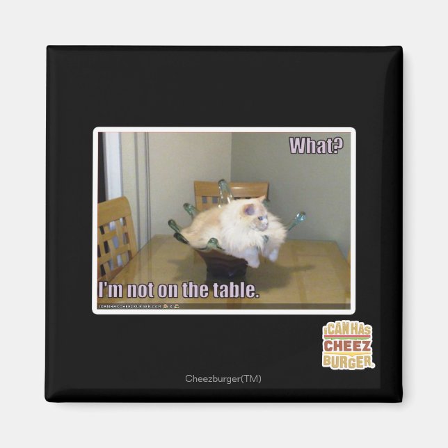 I'm not on the table magnet (Front)
