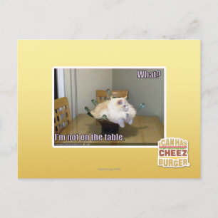 I'm not on the table postcard