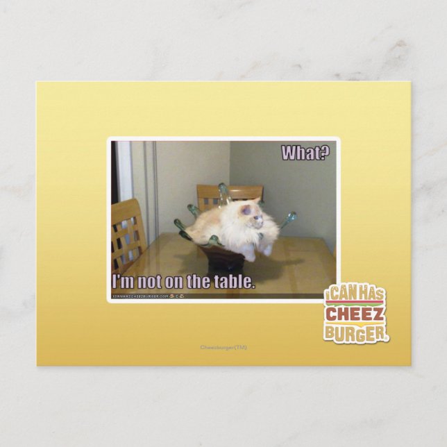I'm not on the table postcard (Front)
