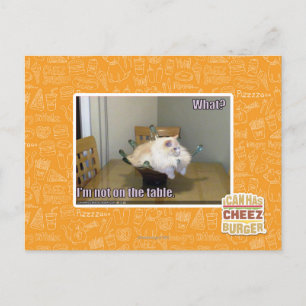 I'm not on the table postcard