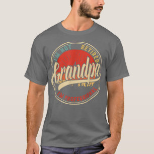 I'm Not Retired I'm A Professional Grandpa Funny V T-Shirt