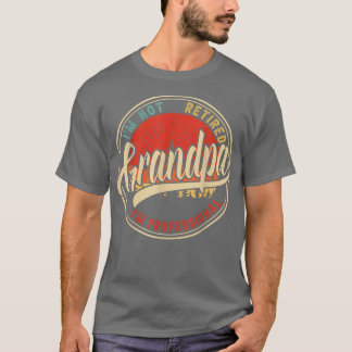 I'm Not Retired I'm A Professional Grandpa Funny V T-Shirt