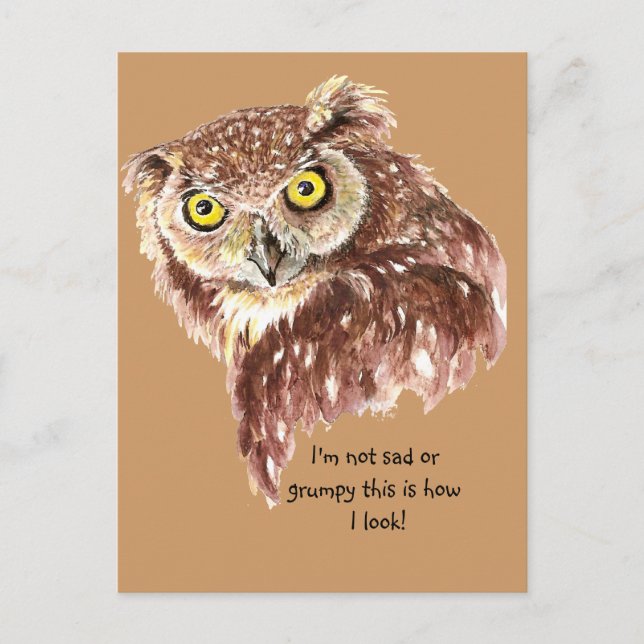 I'm not sad or grumpy this is how I look Owl Postcard (Front)