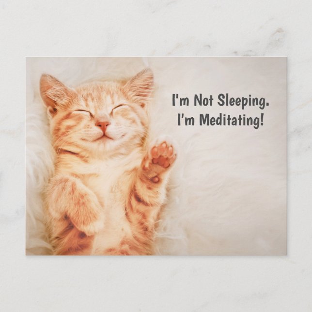 I'm Not Sleeping, I'm Meditating Funny Kitten Postcard (Front)