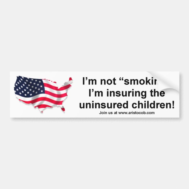 I'm not smoking, I'm insuring the Children Bumper Sticker (Front)