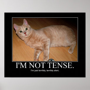 I'm not tense cat artwork poster