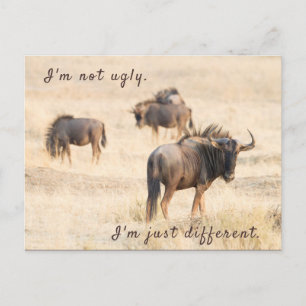 I'm not ugly wildebeest photo with text postcard