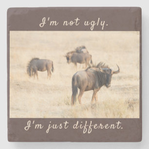 I'm not ugly wildebeest photo with text stone coaster