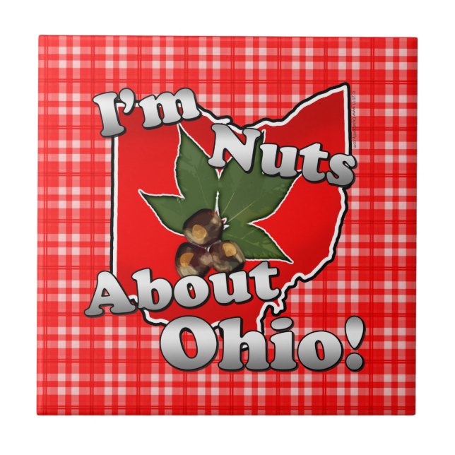 I'm Nuts About Ohio, Funny Red Buckeye Nut Tile (Front)