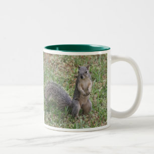 I'm Nuts About You Mug