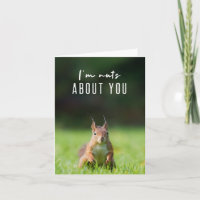 I'm nuts about you | Squirrel Modern Funny Fluffy