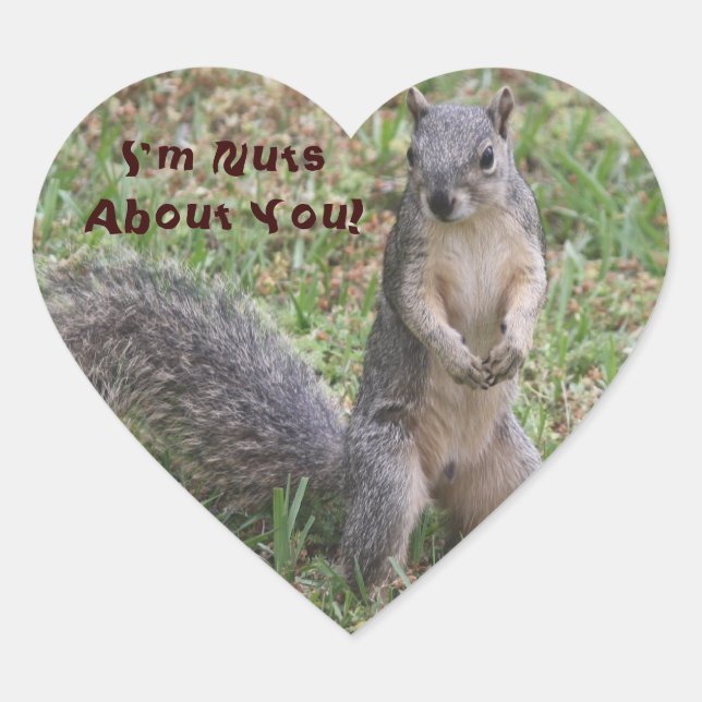 I'm Nuts About You Sticker (Front)