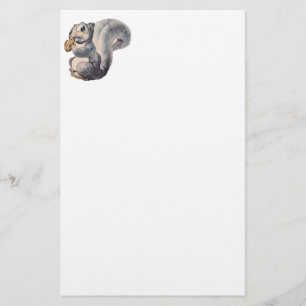 I'm Nuts Squirrel Stationary Stationery