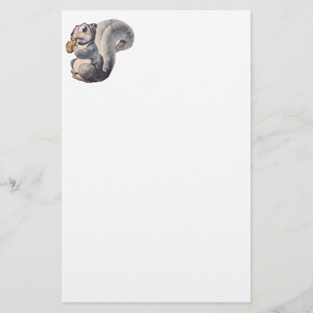 I'm Nuts Squirrel Stationary Stationery (Front)