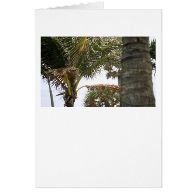 I'm on Island Time! (Front)