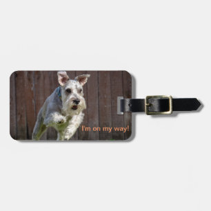 I'm on my way! - Miniature Schnauzer Luggage Tag