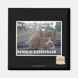 Im on ur dash magnet