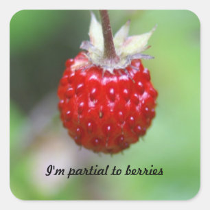 I'm partial to berries square sticker