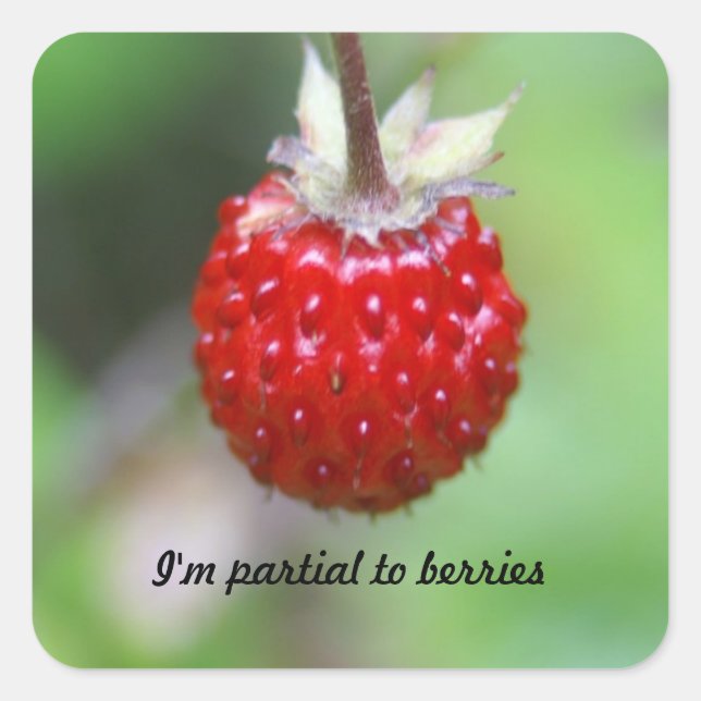 I'm partial to berries square sticker (Front)