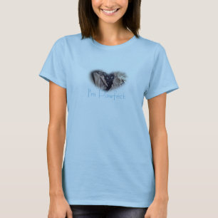 I'm Pawfect black kitty heart tee shirt