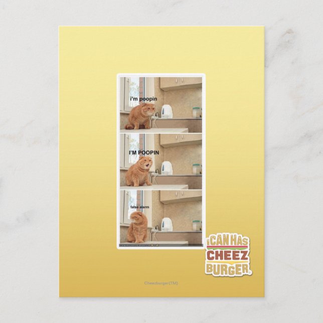 I'm poopin! postcard (Front)